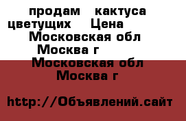 продам 3 кактуса  цветущих  › Цена ­ 1 200 - Московская обл., Москва г.  »    . Московская обл.,Москва г.